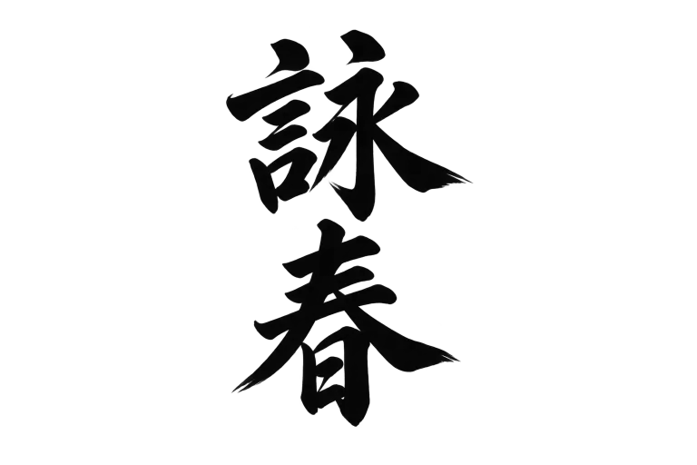 Martial Arts Icon