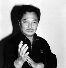 Grandmaster Wong Shun Leung Action